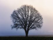 008 Thomas Lehmann 4